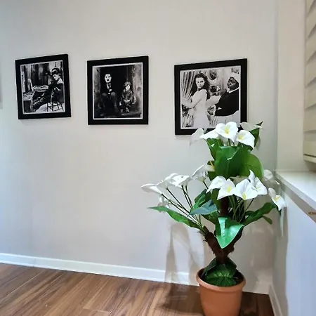 Arkle 6 * ティラナ