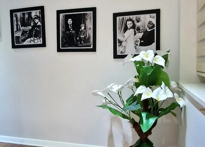 Arkle 6 * ティラナ